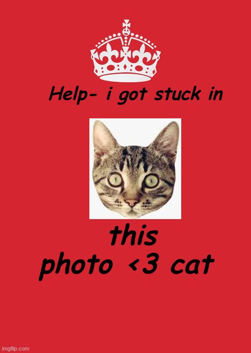 Keep Calm And Carry On Red | Help- i got stuck in; this photo <3 cat | image tagged in memes,keep calm and carry on red | made w/ Imgflip meme maker