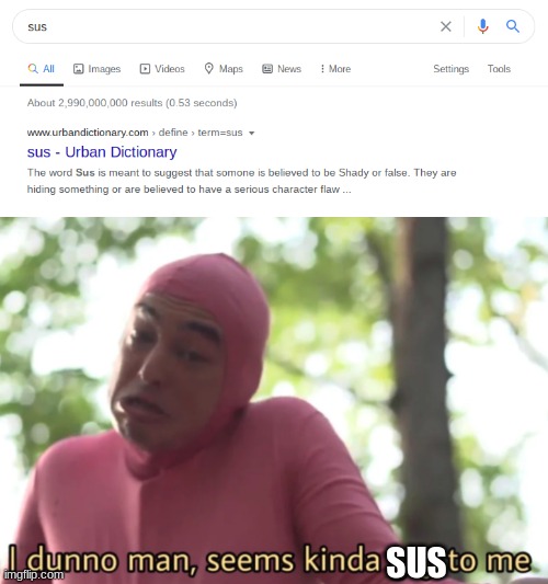 idk | SUS | image tagged in gay guy | made w/ Imgflip meme maker