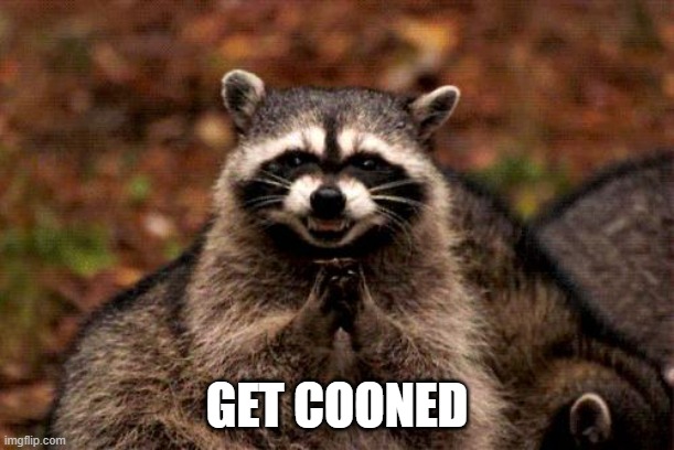 Ok then | GET COONED | image tagged in memes,evil plotting raccoon | made w/ Imgflip meme maker