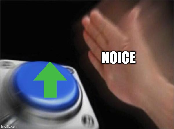 Blank Nut Button Meme | NOICE | image tagged in memes,blank nut button | made w/ Imgflip meme maker