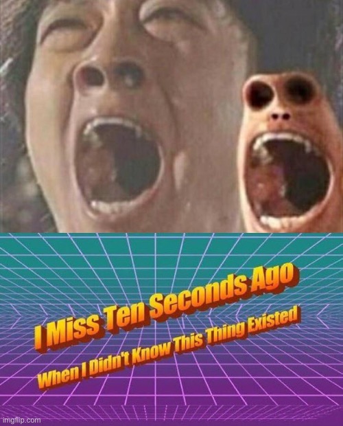 I had to see it and now you do too | image tagged in i miss ten seconds ago | made w/ Imgflip meme maker