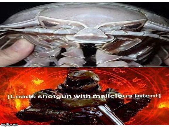 Reloads shotgun with malicious intent | image tagged in doomguy | made w/ Imgflip meme maker