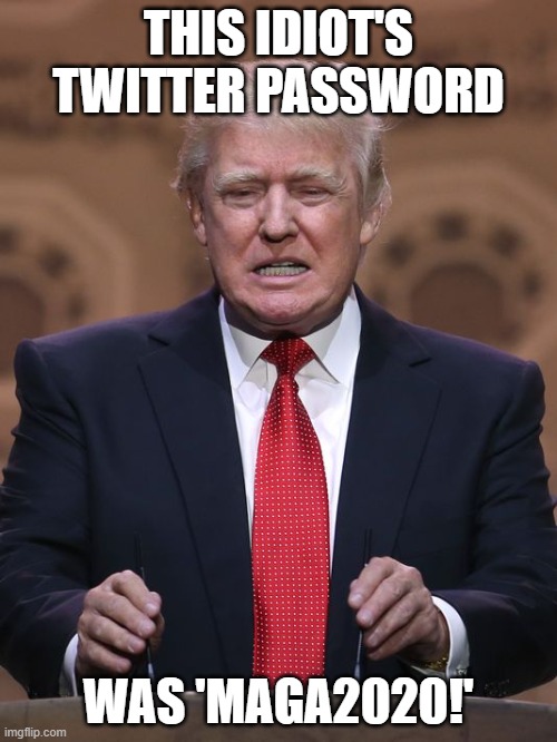 Last time it was 'yourefired' - seriously. | THIS IDIOT'S TWITTER PASSWORD; WAS 'MAGA2020!' | image tagged in donald trump,moron | made w/ Imgflip meme maker