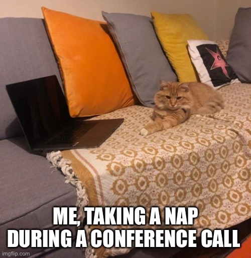 Working from home during covid times | ME, TAKING A NAP DURING A CONFERENCE CALL | image tagged in covid-19,conference,phone call,zoom,nap | made w/ Imgflip meme maker