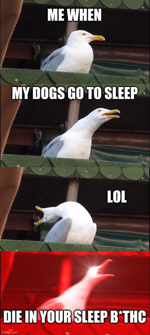 Inhaling Seagull | ME WHEN; MY DOGS GO TO SLEEP; LOL; DIE IN YOUR SLEEP B*THC | image tagged in memes,inhaling seagull | made w/ Imgflip meme maker