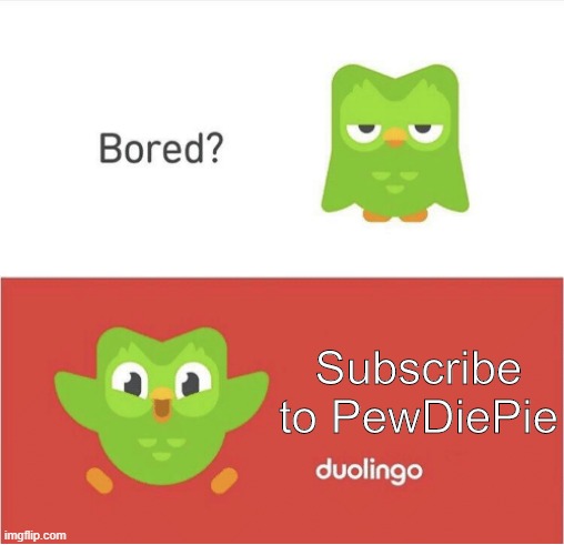 DUOLINGO BORED | Subscribe to PewDiePie | image tagged in duolingo bored | made w/ Imgflip meme maker