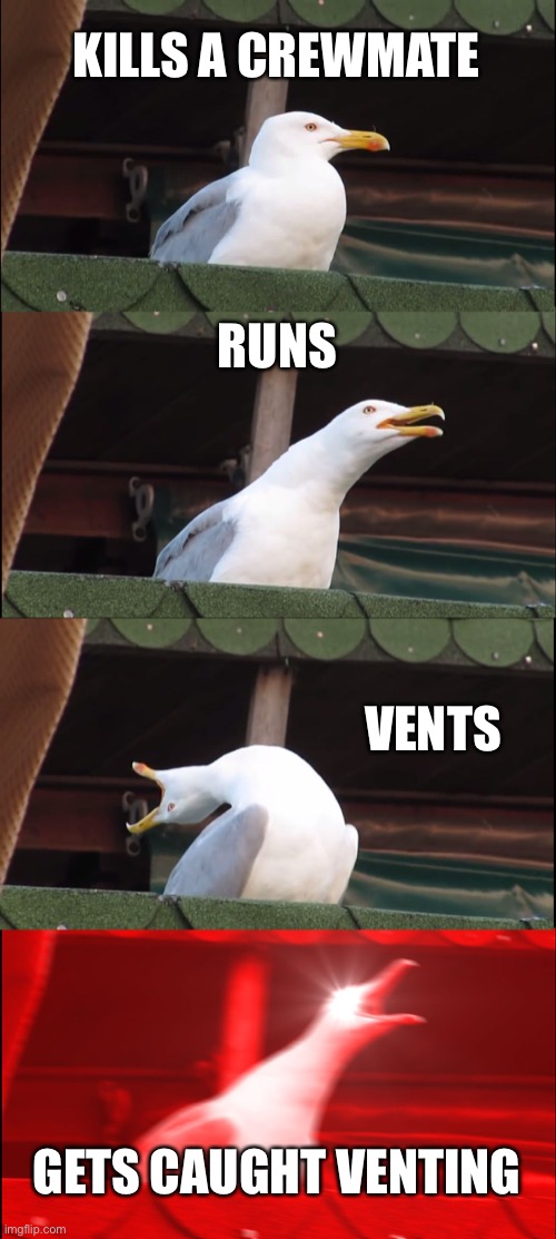 Inhaling Seagull | KILLS A CREWMATE; RUNS; VENTS; GETS CAUGHT VENTING | image tagged in memes,inhaling seagull | made w/ Imgflip meme maker