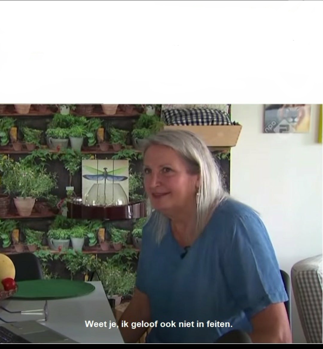 Verwarde vrouw Blank Meme Template