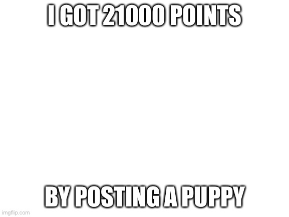 Lmao thanks for the points | I GOT 21000 POINTS; BY POSTING A PUPPY | image tagged in blank white template | made w/ Imgflip meme maker