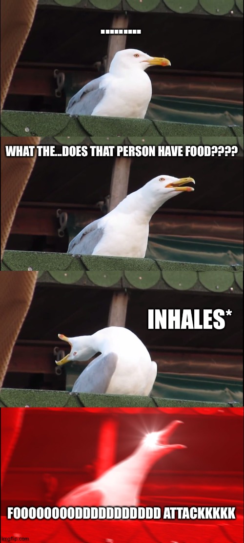 Inhaling Seagull | ......... WHAT THE...DOES THAT PERSON HAVE FOOD???? INHALES*; FOOOOOOOODDDDDDDDDDD ATTACKKKKK | image tagged in memes,inhaling seagull | made w/ Imgflip meme maker