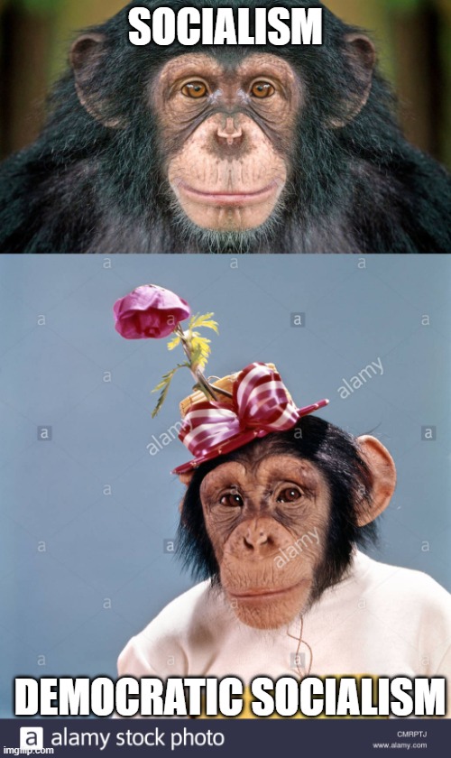 It is still a chimp | SOCIALISM; DEMOCRATIC SOCIALISM | image tagged in socialism | made w/ Imgflip meme maker