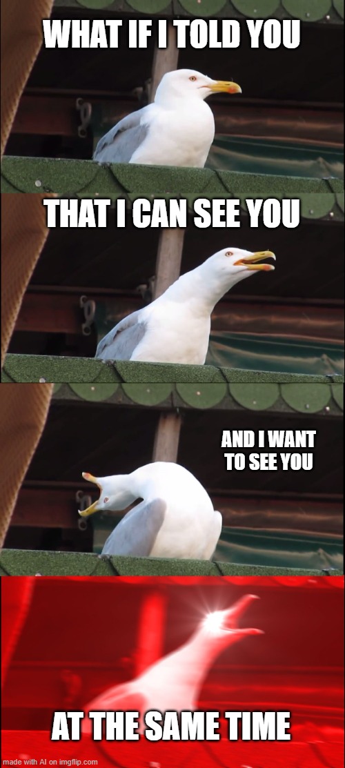 Inhaling Seagull | WHAT IF I TOLD YOU; THAT I CAN SEE YOU; AND I WANT TO SEE YOU; AT THE SAME TIME | image tagged in memes,inhaling seagull | made w/ Imgflip meme maker