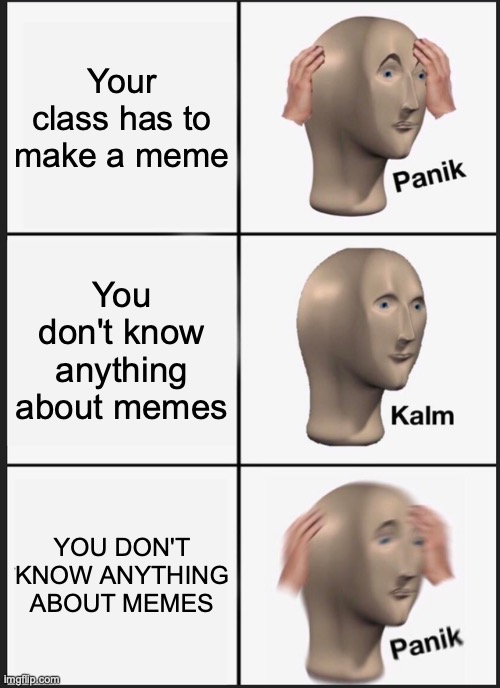 Classwork | Your class has to make a meme; You don't know anything about memes; YOU DON'T KNOW ANYTHING ABOUT MEMES | image tagged in memes,panik kalm panik,class | made w/ Imgflip meme maker
