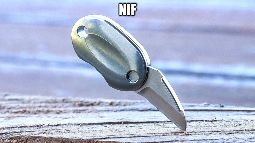 nif | NIF | made w/ Imgflip meme maker