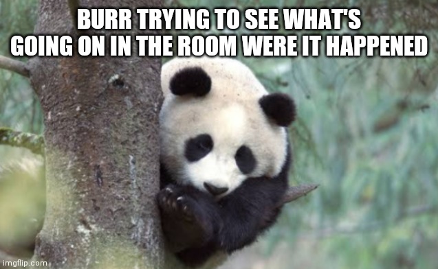 Lol plz use this template | BURR TRYING TO SEE WHAT'S GOING ON IN THE ROOM WERE IT HAPPENED | image tagged in spying panda,hamilton,meme | made w/ Imgflip meme maker