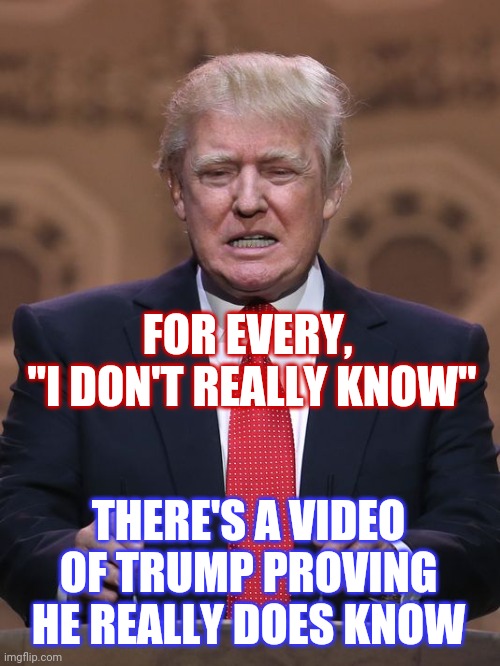 Because He's A Pathological Liar | FOR EVERY, 
"I DON'T REALLY KNOW"; THERE'S A VIDEO OF TRUMP PROVING HE REALLY DOES KNOW | image tagged in donald trump,trump unfit unqualified dangerous,liar in chief,lock him up,trump lies,memes | made w/ Imgflip meme maker