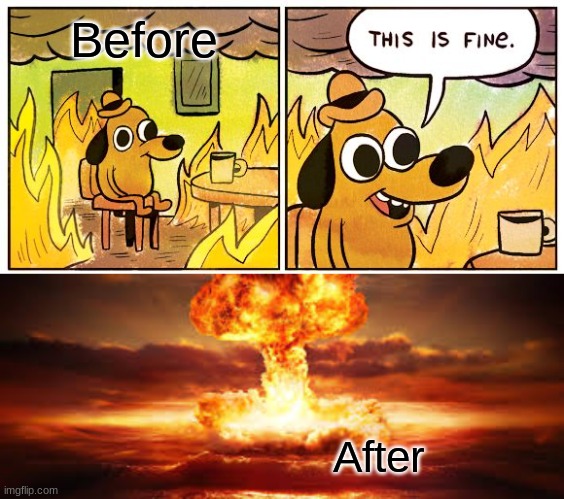Before; After | image tagged in memes,this is fine,imagination | made w/ Imgflip meme maker
