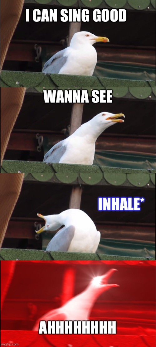 Inhaling Seagull Meme | I CAN SING GOOD; WANNA SEE; INHALE*; AHHHHHHHH | image tagged in memes,inhaling seagull | made w/ Imgflip meme maker