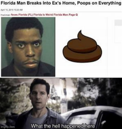 Wha the heck | image tagged in what the hell happened here | made w/ Imgflip meme maker