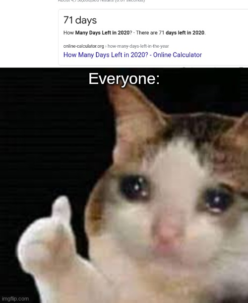 Everyone: | image tagged in sad cat,2020,almost there | made w/ Imgflip meme maker