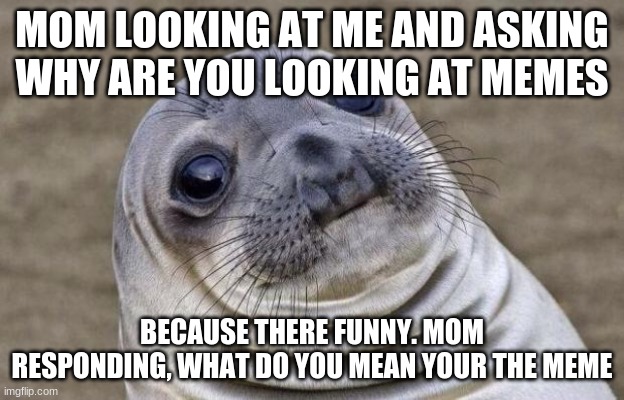 Mom? | MOM LOOKING AT ME AND ASKING WHY ARE YOU LOOKING AT MEMES; BECAUSE THERE FUNNY. MOM RESPONDING, WHAT DO YOU MEAN YOUR THE MEME | image tagged in memes,awkward moment sealion | made w/ Imgflip meme maker