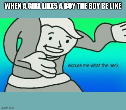 hmMmmmMM | WHEN A GIRL LIKES A BOY THE BOY BE LIKE | image tagged in excuse me what the heck | made w/ Imgflip meme maker
