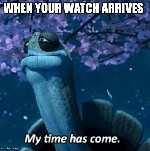 Me: orders a watch *Door rings* Me: | WHEN YOUR WATCH ARRIVES | image tagged in my time has come | made w/ Imgflip meme maker