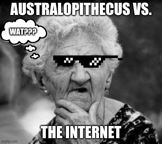 australopithecus vs. the INTERNET | AUSTRALOPITHECUS VS. WAT??? THE INTERNET | image tagged in confused old lady | made w/ Imgflip meme maker