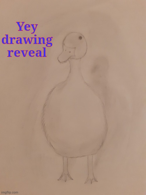 D U C C | Yey drawing reveal | image tagged in duck,drawing | made w/ Imgflip meme maker