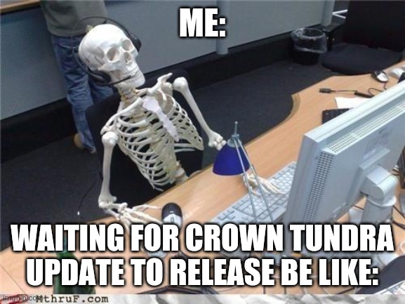 Pokemon crown tundra release | ME:; WAITING FOR CROWN TUNDRA UPDATE TO RELEASE BE LIKE: | image tagged in waiting skeleton,pokemon,pokemon sword and shield,dlc,crown | made w/ Imgflip meme maker