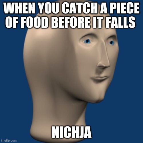 meme man | WHEN YOU CATCH A PIECE OF FOOD BEFORE IT FALLS; NICHJA | image tagged in meme man | made w/ Imgflip meme maker