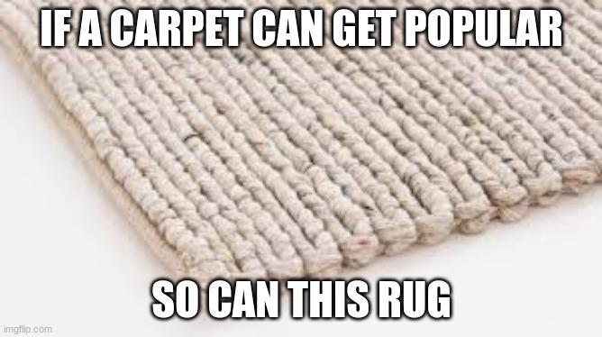 Rug. | IF A CARPET CAN GET POPULAR; SO CAN THIS RUG | image tagged in memes | made w/ Imgflip meme maker