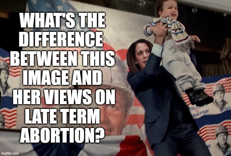 "You're not the voice of the people, I am the voice of the people! The people speak through me, not you!" | WHAT'S THE
DIFFERENCE 
BETWEEN THIS
IMAGE AND
 HER VIEWS ON
LATE TERM
ABORTION? | image tagged in kamala harris,dead zone | made w/ Imgflip meme maker