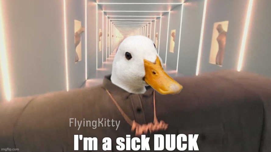 I'm a sick duck | image tagged in i'm a sick duck | made w/ Imgflip meme maker