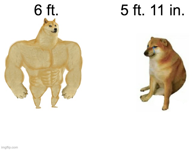 Buff Doge vs. Cheems | 6 ft. 5 ft. 11 in. | image tagged in memes,buff doge vs cheems | made w/ Imgflip meme maker