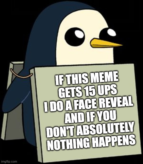 pls | IF THIS MEME GETS 15 UPS I DO A FACE REVEAL  AND IF YOU DON'T ABSOLUTELY NOTHING HAPPENS | image tagged in gunter penguin blank sign | made w/ Imgflip meme maker