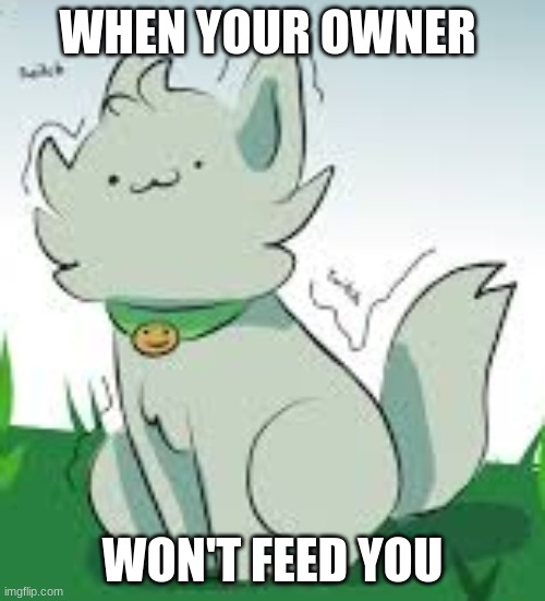 ANGRY DOG | WHEN YOUR OWNER; WON'T FEED YOU | image tagged in dog | made w/ Imgflip meme maker