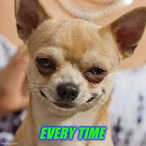 Smirking Dog | EVERY TIME | image tagged in smirking dog | made w/ Imgflip meme maker