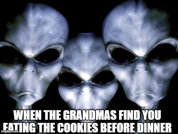 Angry aliens | WHEN THE GRANDMAS FIND YOU EATING THE COOKIES BEFORE DINNER | image tagged in angry aliens | made w/ Imgflip meme maker