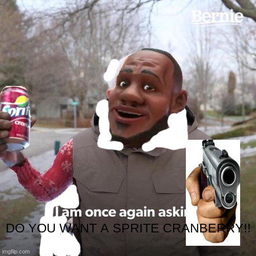 Bernie I Am Once Again Asking For Your Support | DO YOU WANT A SPRITE CRANBERRY!! | image tagged in memes,bernie i am once again asking for your support | made w/ Imgflip meme maker