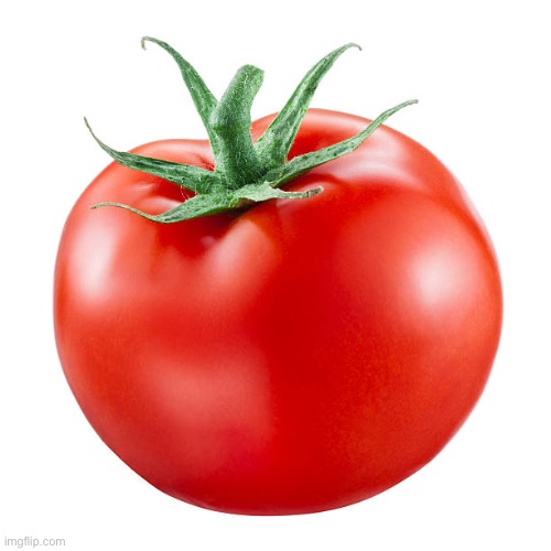 Let’s see how popular this Tomato will get | image tagged in tomato | made w/ Imgflip meme maker