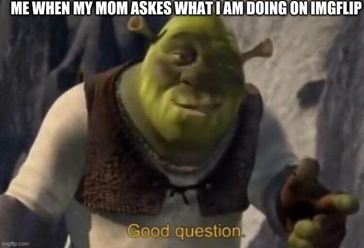 Shrek good question | ME WHEN MY MOM ASKES WHAT I AM DOING ON IMGFLIP | image tagged in shrek good question | made w/ Imgflip meme maker