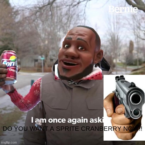 DO YOU NOW? | DO YOU WANT A SPRITE CRANBERRY NOW!! | image tagged in memes,bernie i am once again asking for your support | made w/ Imgflip meme maker