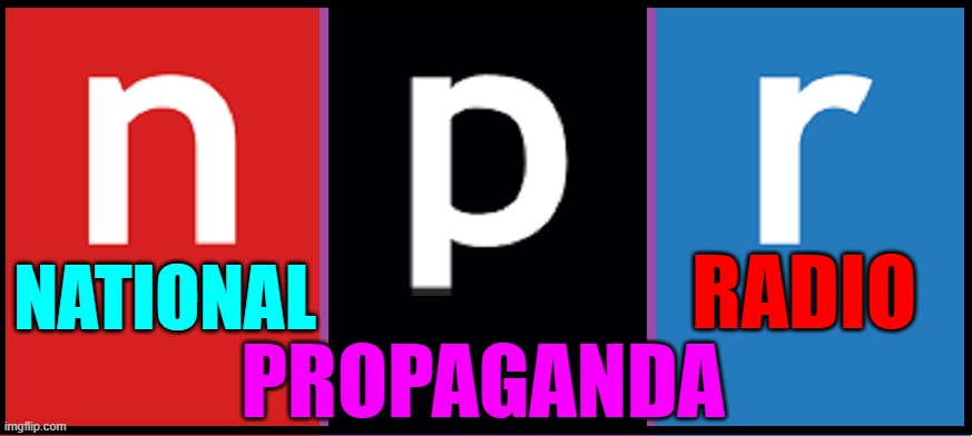 Tax Payer Funded Evil |  RADIO; NATIONAL; PROPAGANDA | image tagged in vince vance,npr,evil,propaganda,taxpayer,memes | made w/ Imgflip meme maker