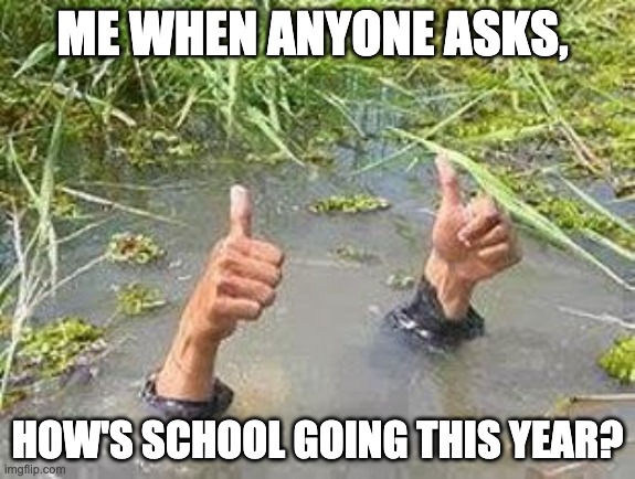 FLOODING THUMBS UP | ME WHEN ANYONE ASKS, HOW'S SCHOOL GOING THIS YEAR? | image tagged in flooding thumbs up | made w/ Imgflip meme maker