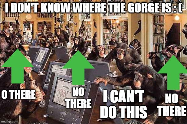 monkeys on computers | I DON'T KNOW WHERE THE GORGE IS : (; NO THERE; O THERE; I CAN'T DO THIS; NO THERE | image tagged in monkeys on computers | made w/ Imgflip meme maker