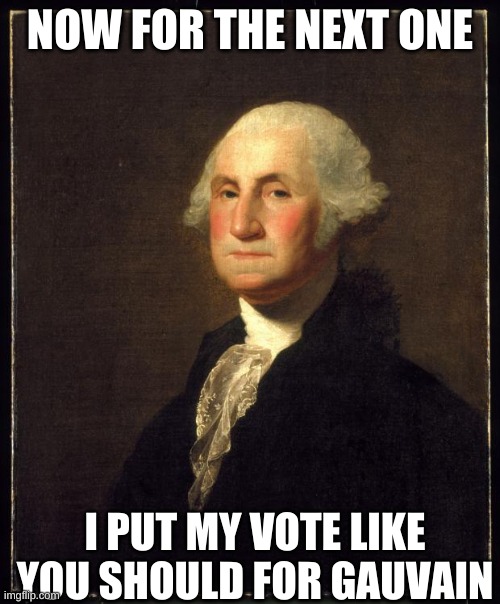 vote Gauvain | NOW FOR THE NEXT ONE; I PUT MY VOTE LIKE YOU SHOULD FOR GAUVAIN | image tagged in george washington | made w/ Imgflip meme maker