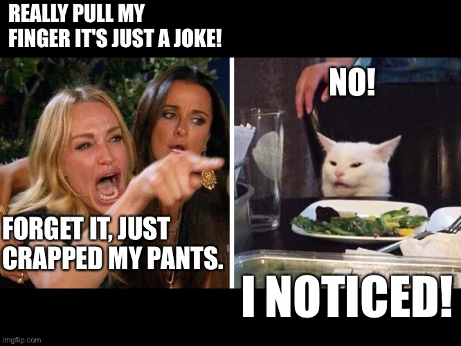 Woman yelling at cat | REALLY PULL MY FINGER IT'S JUST A JOKE! NO! FORGET IT, JUST CRAPPED MY PANTS. I NOTICED! | image tagged in smudge the cat | made w/ Imgflip meme maker