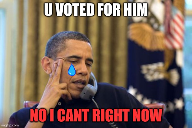 No I Can't Obama |  U VOTED FOR HIM; NO I CANT RIGHT NOW | image tagged in memes,no i can't obama | made w/ Imgflip meme maker