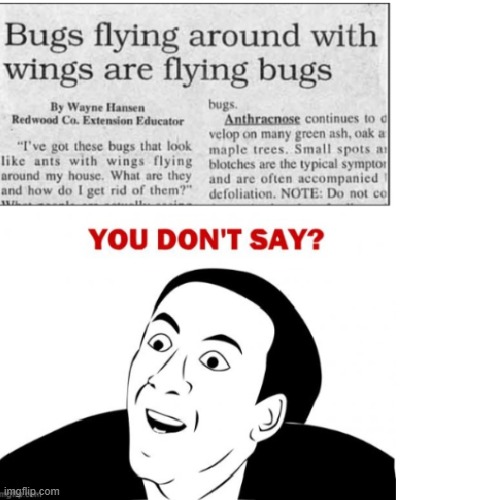 Bugs | made w/ Imgflip meme maker